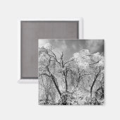 Bäume tragen Winter Magnet (Vorderseite/Rückseite)