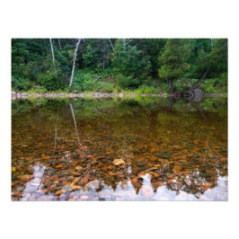 Bäume über dem Felsenteich Fotodruck