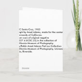 Bäume, UC Santa Cruz, 1963 Karte (Rückseite)