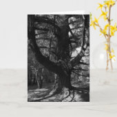 Bäume, UC Santa Cruz, 1963 Karte (Gelbe Blume)