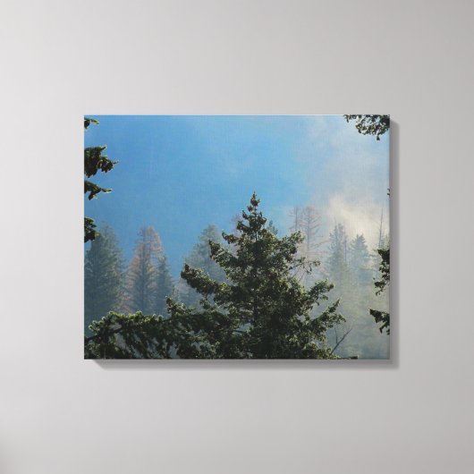 Bäume ummantelte Canvas Leinwanddruck (Vorderseite)