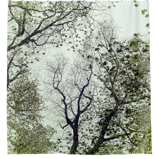 Bäume und Blätter Olivenöl und Meeresfrüchte Grüne Duschvorhang (Vorderseite)