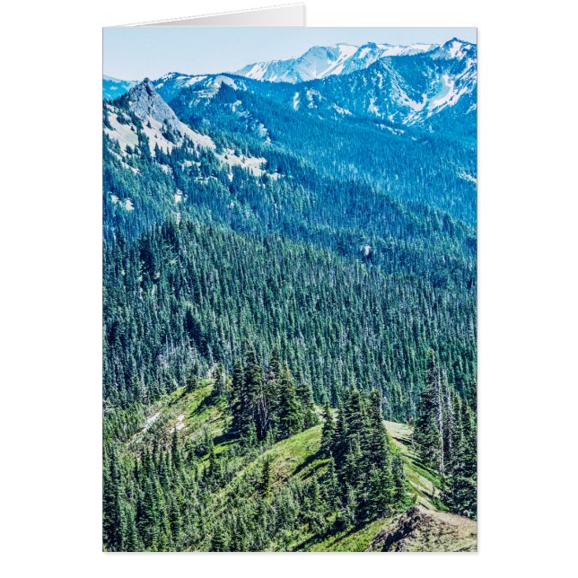 Bäume und Brücken (Vorne)