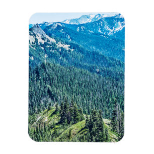 Bäume und Brücken Magnet