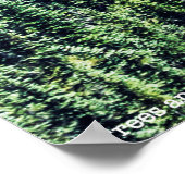 Bäume und Brücken Poster (Ecke)