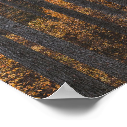 Bäume und goldenes Herbstblättern Poster (Ecke)