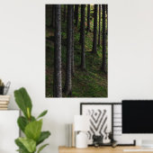 Bäume und grüne Moos Poster (Heimbüro)