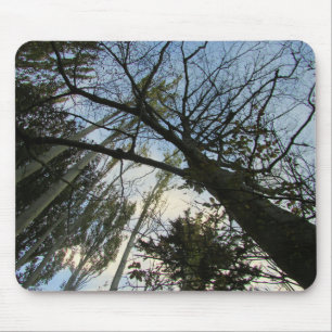 Bäume und Himmel oder Ihr Foto Maus-Pad Mousepad