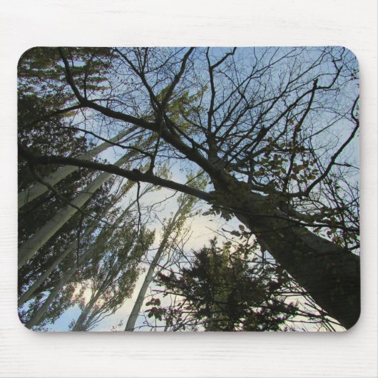 Bäume und Himmel oder Ihr Foto Maus-Pad Mousepad (Vorne)