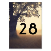 Bäume und Lichter Rustikale Hochzeit Tischnummer (Vorderseite)