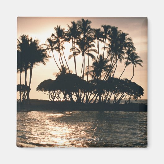 Bäume und Meer Magnet (Vorne)