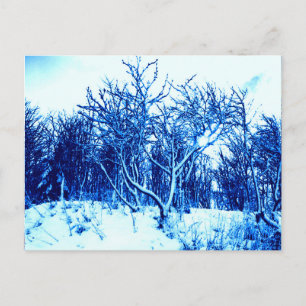 Bäume und Schneeszene, Kobaltblau Postkarte