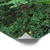 Bäume und Shrubs Poster (Ecke)