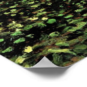 Bäume und Unterwuchs Poster (Ecke)