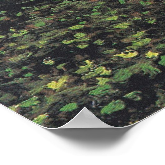 Bäume und Unterwuchs von Van Gogh Poster (Ecke)