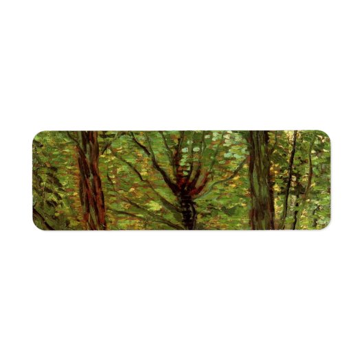 Bäume und Unterwuchs von Vincent van Gogh (Vorne)