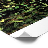Bäume und Unterwuchs von Vincent van Gogh Poster (Ecke)