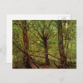 Bäume und Unterwuchs von Vincent van Gogh Postkarte (Vorne/Hinten)