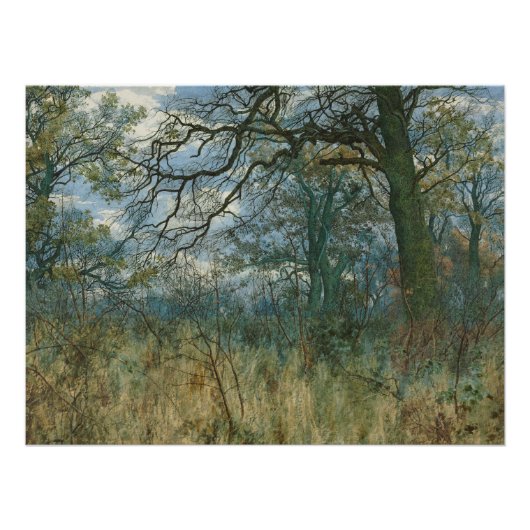 Bäume und Unterwuchs - William Fraser Garden Poster (Vorderseite)