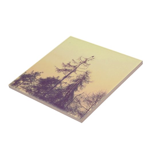 Bäume und Vögel Fliese (Seite)