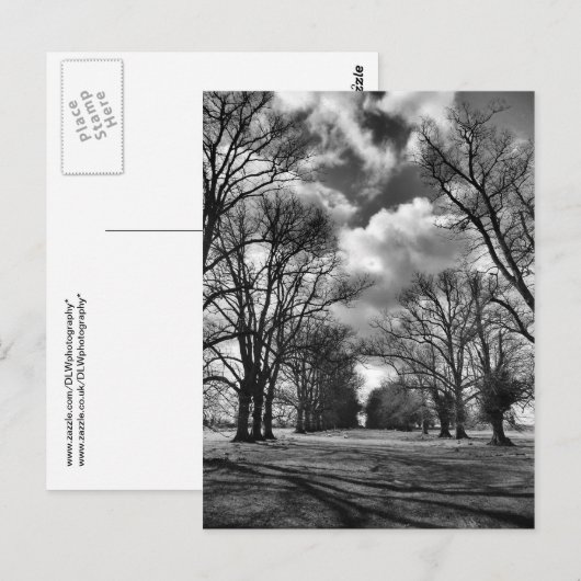 Bäume und Wolken Postkarte (Vorne/Hinten)