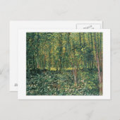 Bäume Vincent van Goghs | und Unterholz, 1887 Postkarte (Vorne/Hinten)