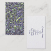 BÄUME VISITENKARTE (Vorne/Hinten)