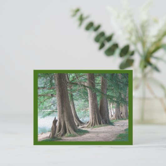 Bäume von gestern, Postkarten (Stehend Vorderseite)