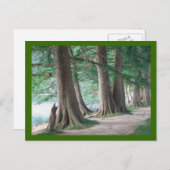 Bäume von gestern, Postkarten (Vorne/Hinten)