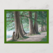 Bäume von gestern, Postkarten (Vorderseite)