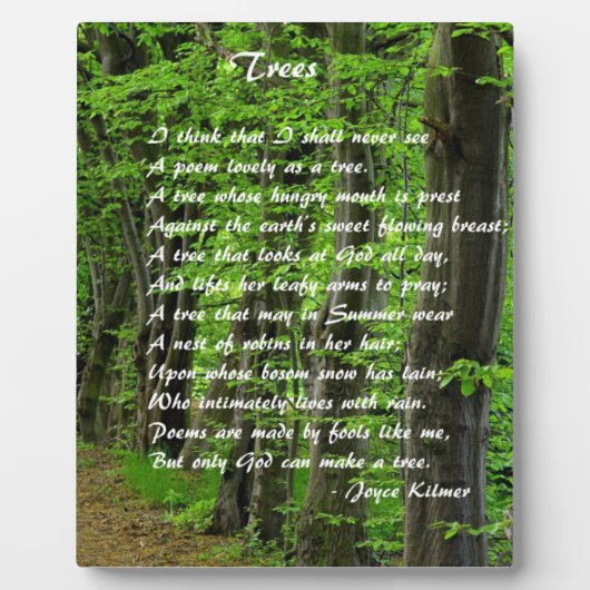 Bäume von: Joyce Klimer Fotoplatte (Vorderseite)