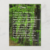 Bäume von: Joyce Klimer