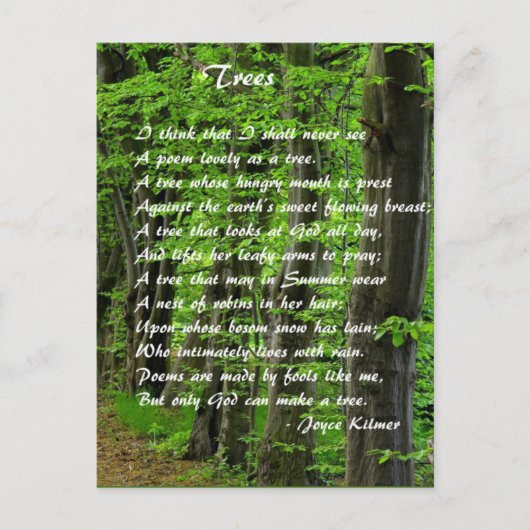 Bäume von: Joyce Klimer Postkarte (Vorderseite)