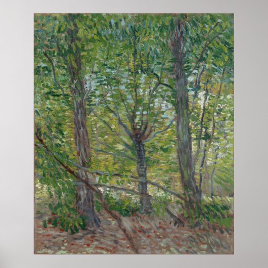 Bäume von Vincent Van Gogh Poster (Vorne)