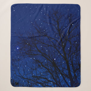 Bäume vor sternklarem Himmel. Bäume in der Nacht Sherpadecke