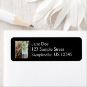 Bäume wachsen zwischen Felsen im Zion Nationalpark (Insitu)