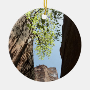 Bäume wachsen zwischen Felsen im Zion Nationalpark Keramikornament