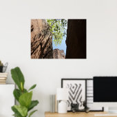 Bäume wachsen zwischen Felsen im Zion Nationalpark Poster (Heimbüro)