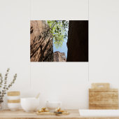 Bäume wachsen zwischen Felsen im Zion Nationalpark Poster (Küche)