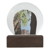 Bäume wachsen zwischen Felsen im Zion Nationalpark Schneekugel (Rückseite)