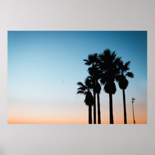 Bäume während der goldenen Stunde Poster