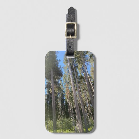 Bäume Wald Natur Wald Gepäckanhänger (Vorderseite Vertikal)