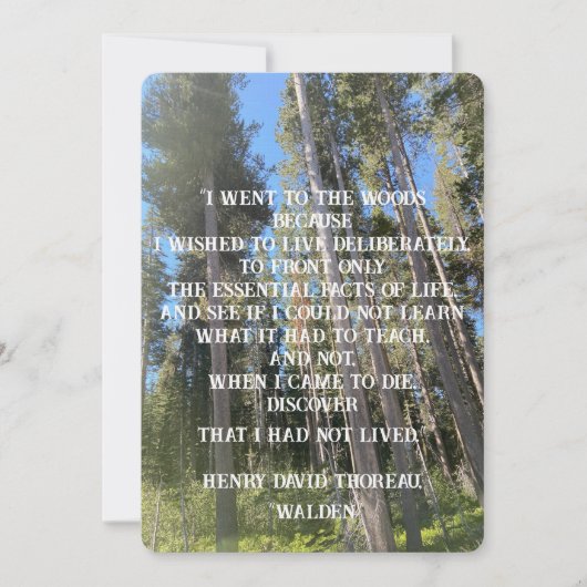 Bäume Wald Woods Thoreau Einladung (Vorderseite)