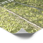 Bäume Wald Woods Thoreau Inspiration Poster (Ecke)