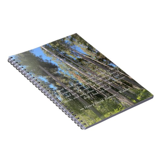 Bäume Wald Woods Thoreau Notizblock (Rechte Seite)