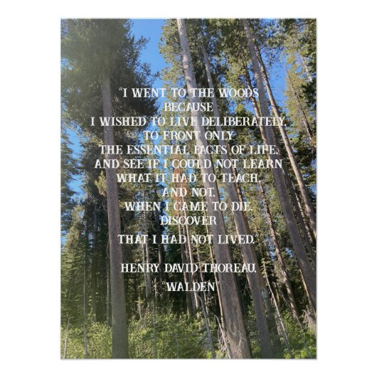 Bäume Wald Woods Thoreau Poster (Vorderseite)