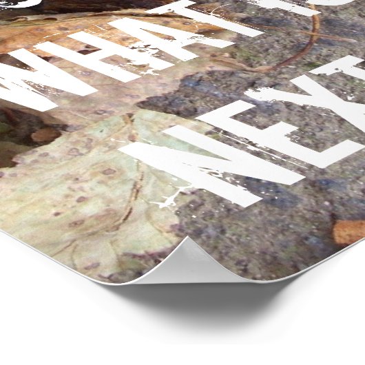 Bäume Wälder Erhaltung des Erdklimas Poster (Ecke)