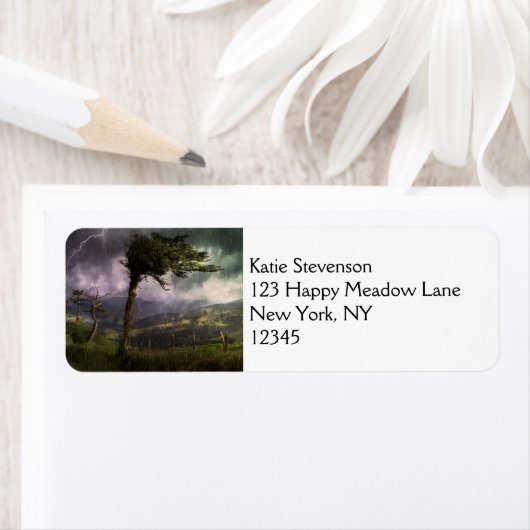 Bäume wehen während eines Donnerstürms im Wind (Insitu)