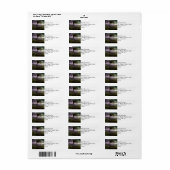 Bäume wehen während eines Donnerstürms im Wind (Vorne)