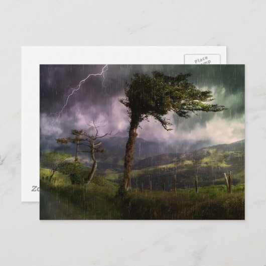 Bäume wehen während eines Donnerstürms im Wind Postkarte (Vorne/Hinten)